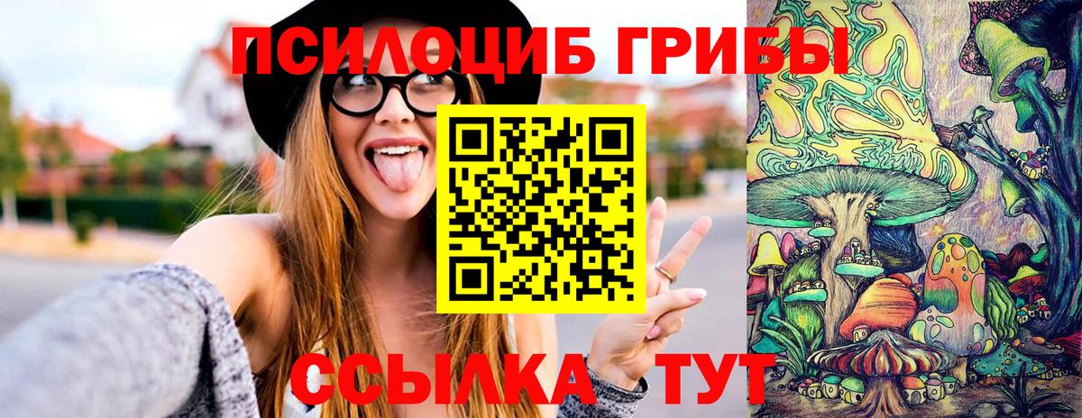 Галлюциногенные грибы прущие грибы Воркута